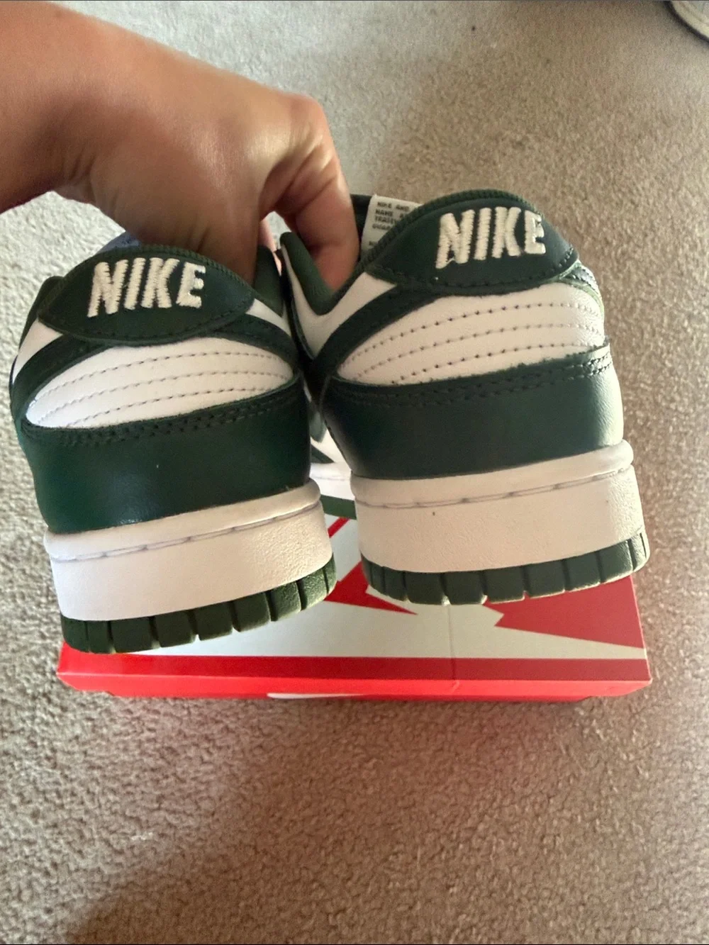 Nike Michigan State Dunks